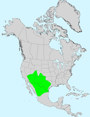 North America species range map for Red Dome Blanketflower, Gaillardia pinnatifida: Click image for full size map.